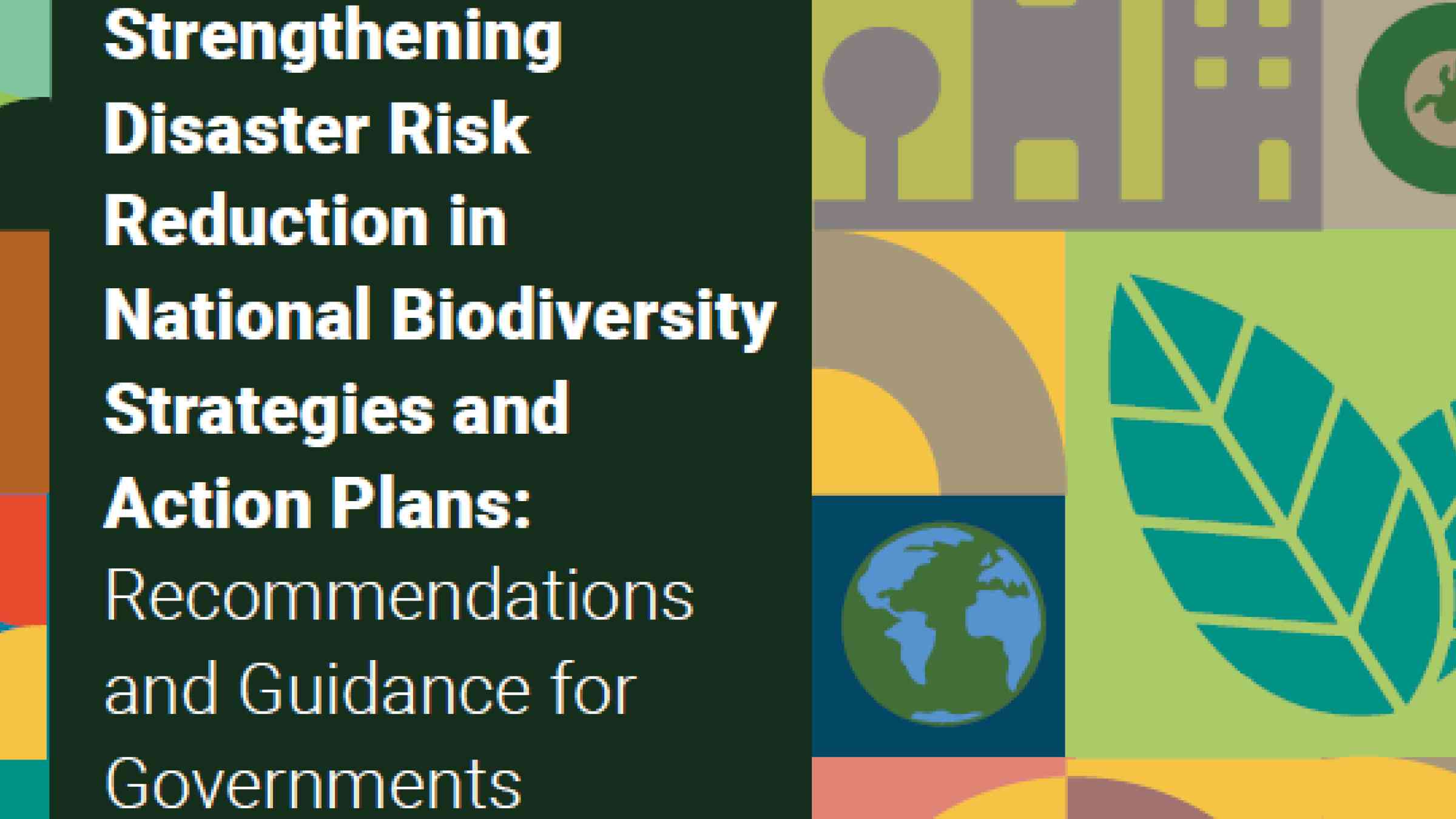 Strengthening DRR in NBSAPs guidance