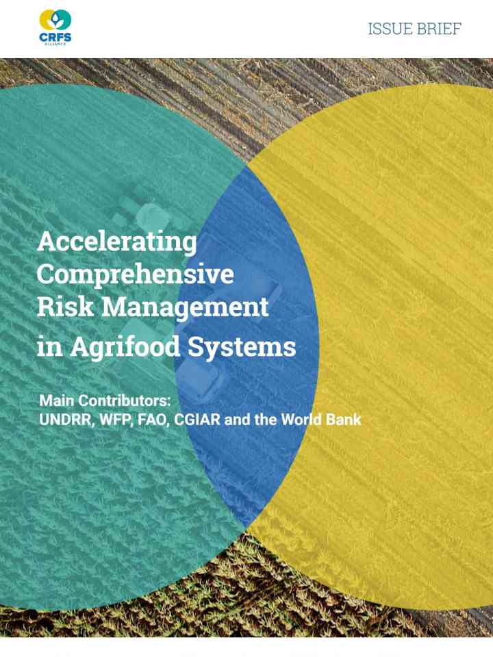 UNDRR et al CRFS Alliance Issue Brief