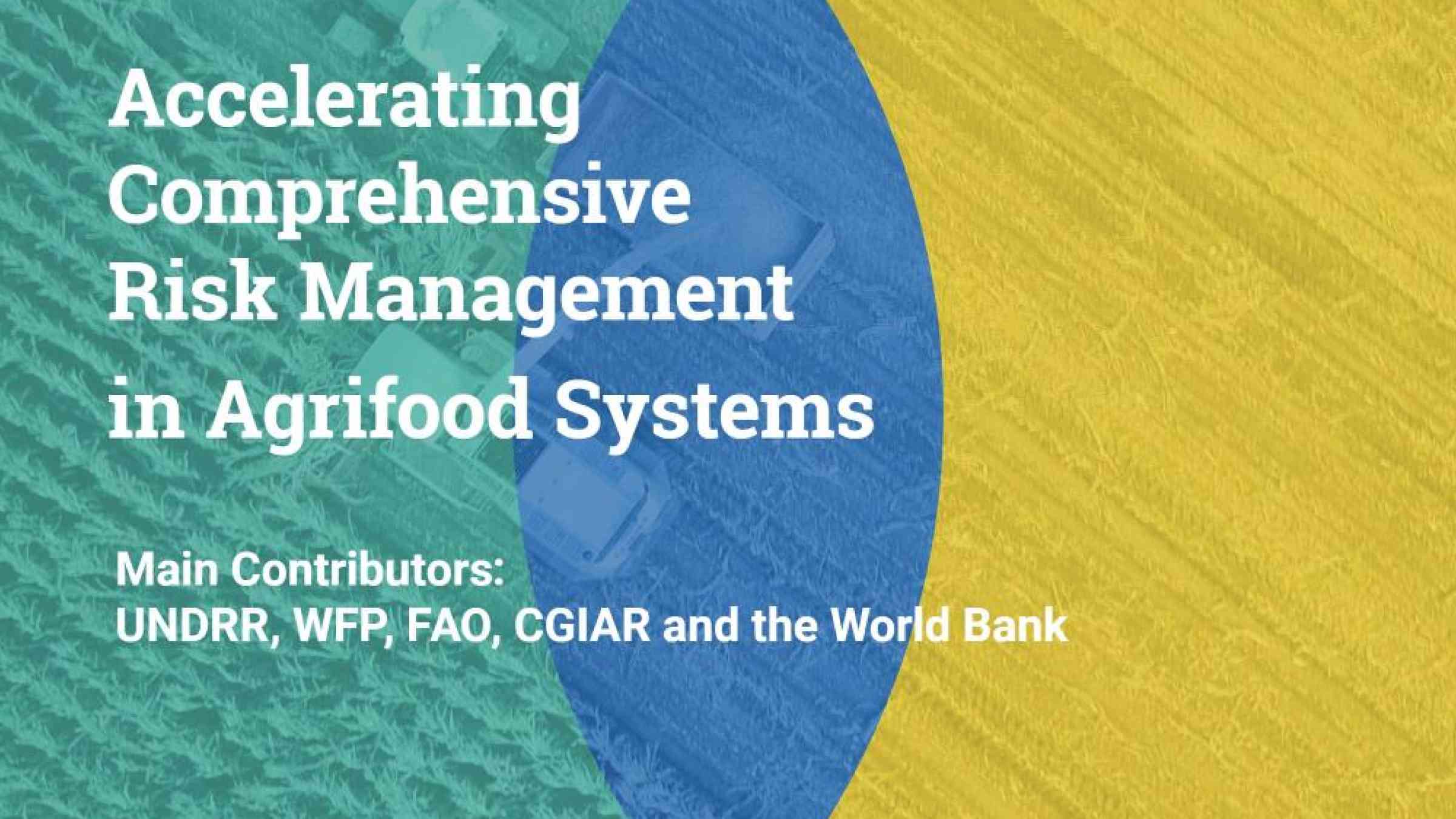 UNDRR et al CRFS Alliance Issue Brief