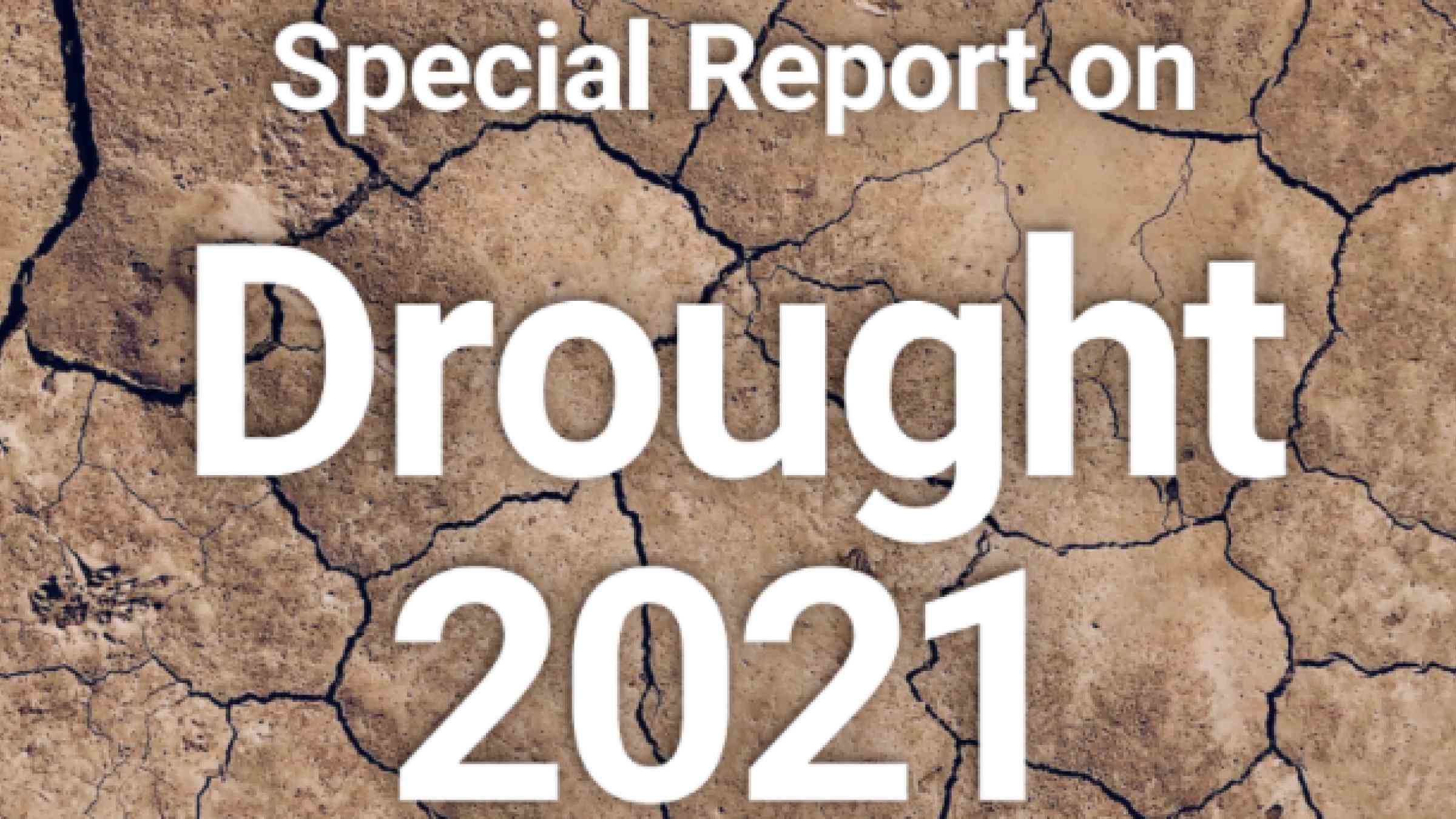 GAR Special report on drought 2021 cover image