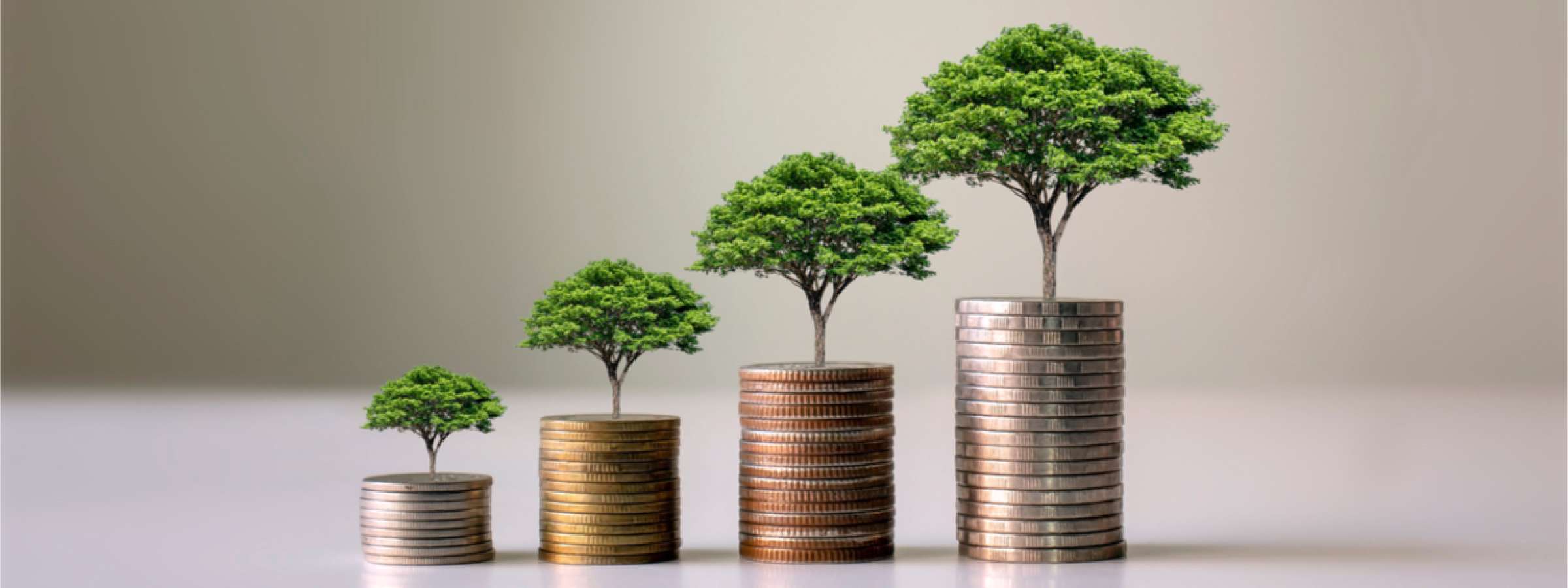 Showing financial developments and business growth with a growing tree in a coin toss.