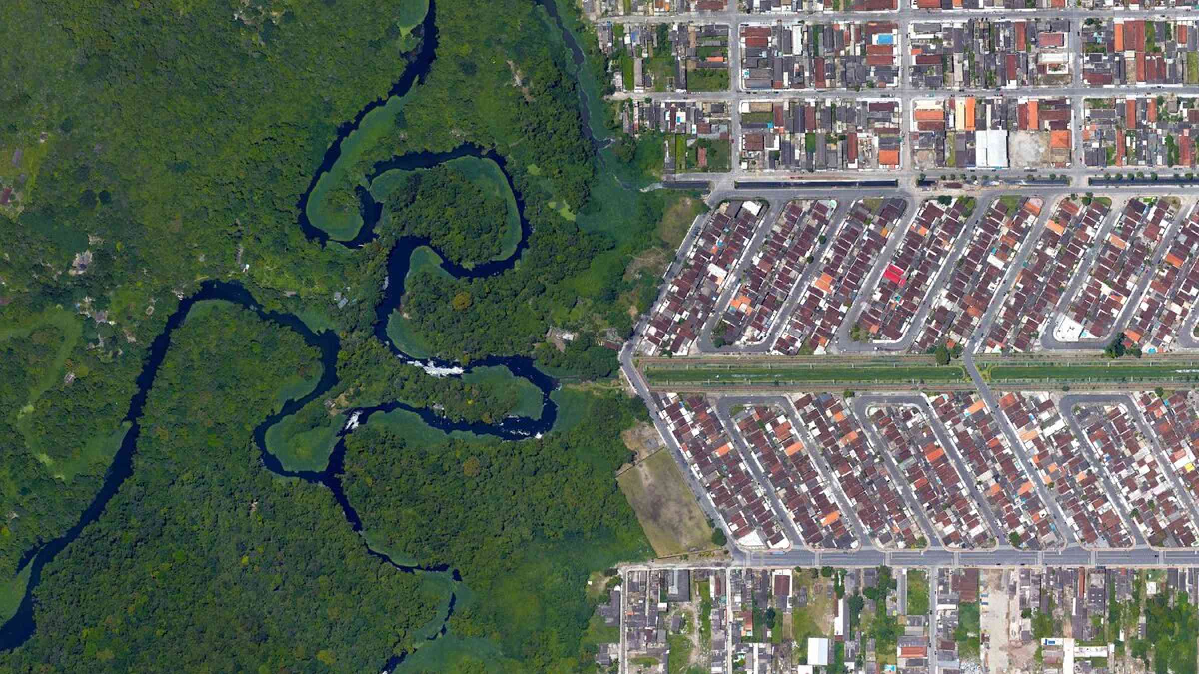 Forest next to a city in Brazil