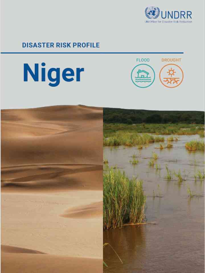 Cover Niger Risk Profile