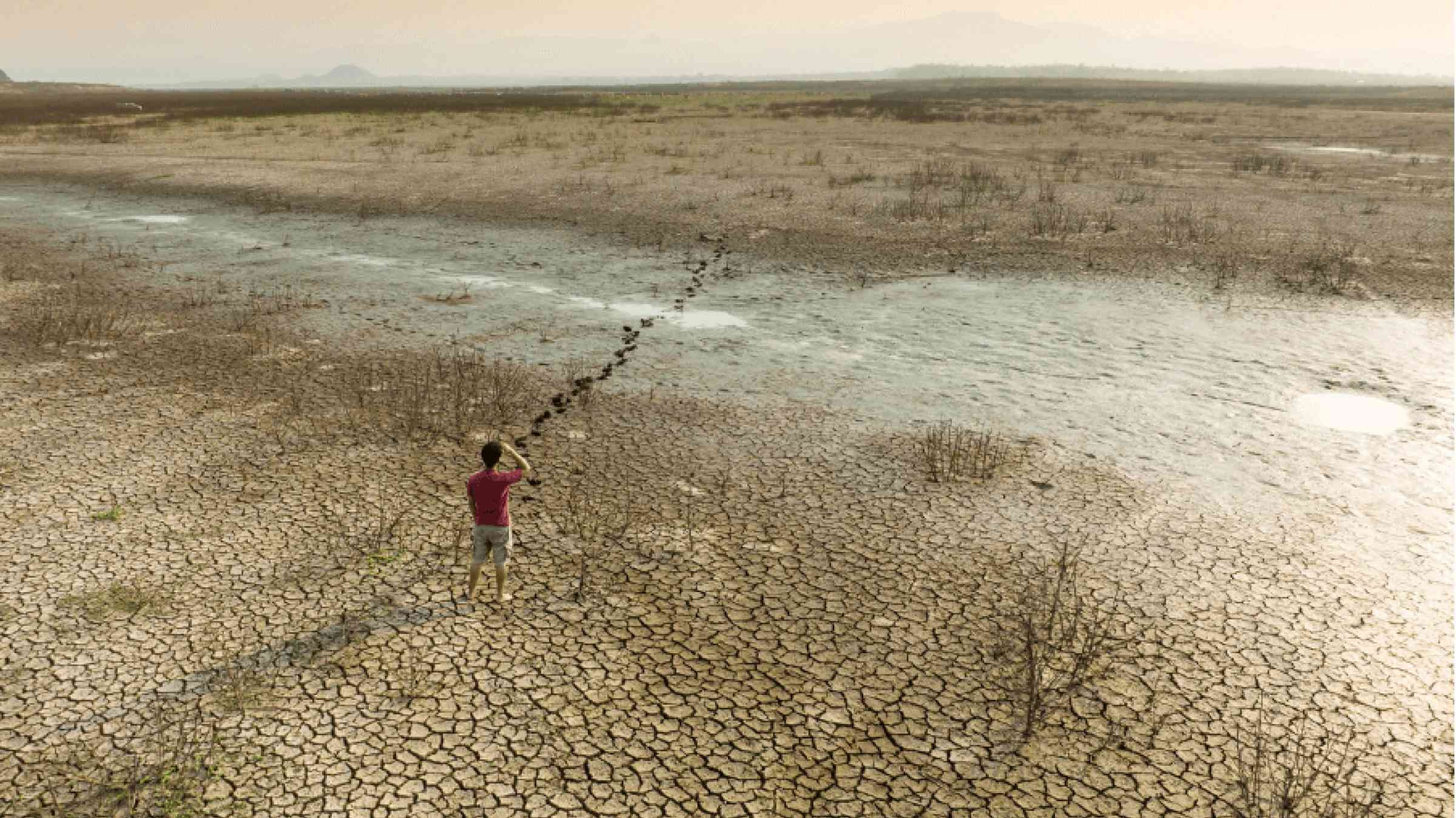 Man standing infront of desert