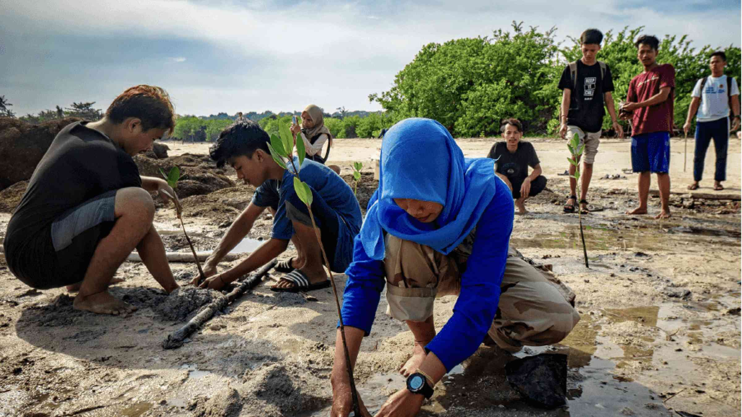 People planting