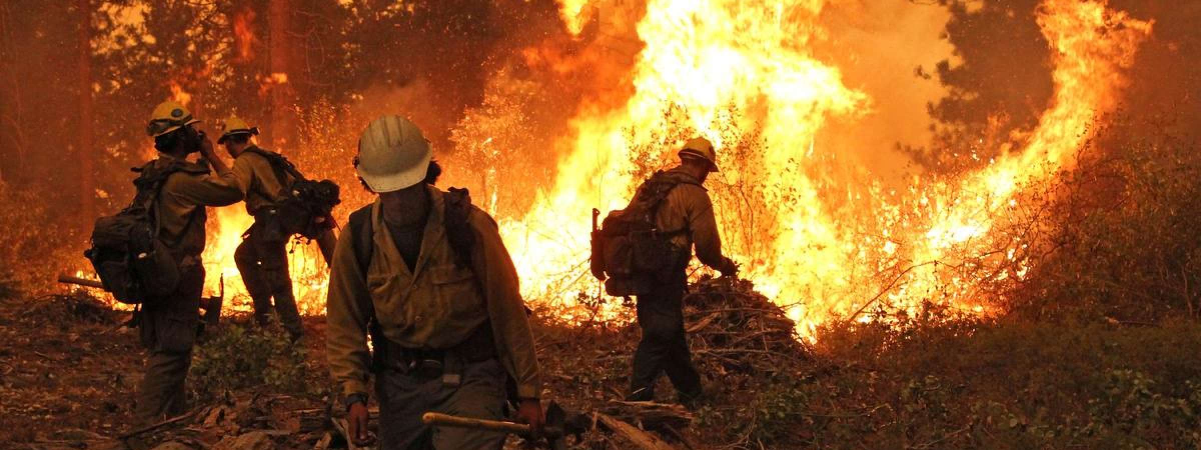Wildfire in Stanislaus National Forest, California, 2013