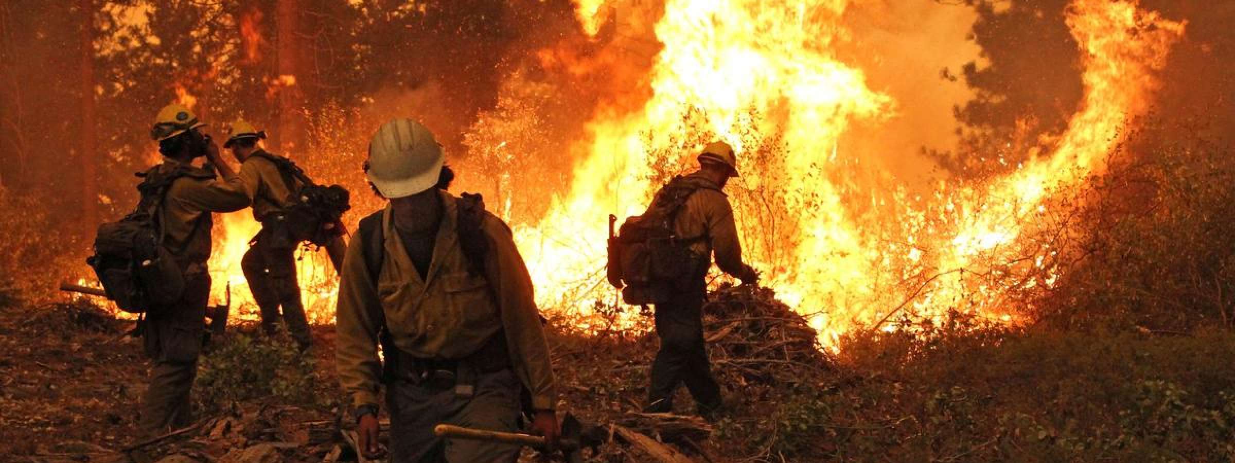 Wildfire in Stanislaus National Forest, California, 2013 