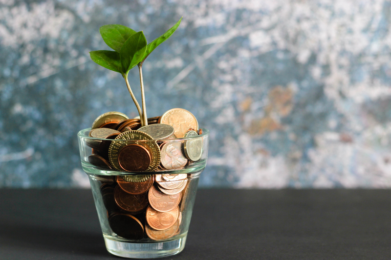 Image of coins in a glass with a seedling.